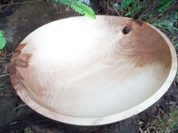 Fruit Bowl
