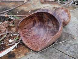 Kitchen Scoop